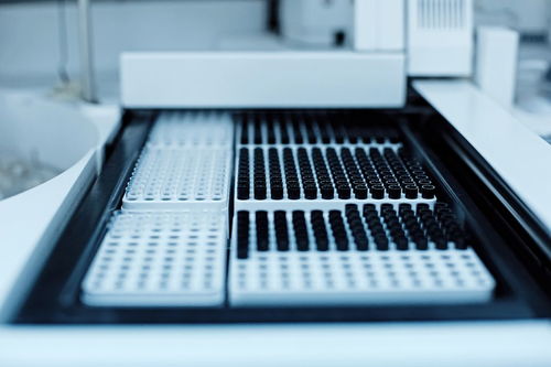 微型計(jì)算機(jī)硬件系統(tǒng)中最常用的輸出設(shè)備